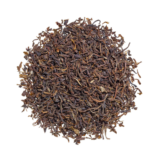 Jasmine Gold