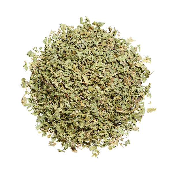 Verveine